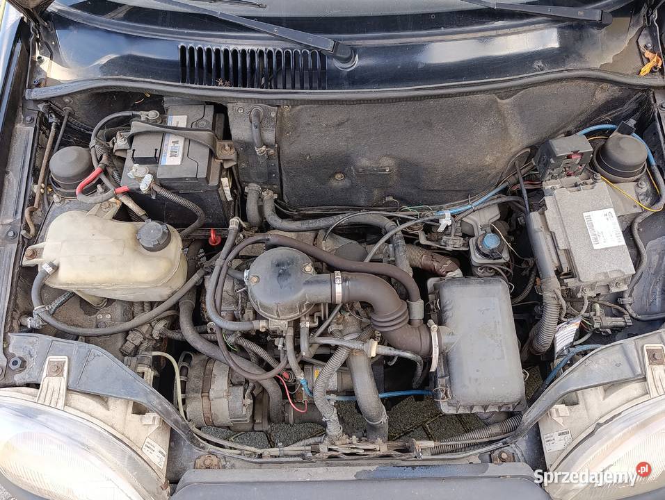 Fiat Seicento ewzamienie wielkopolskie
