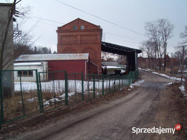 Wynajmę halę z linią produkcyjną biohumusu lubuskie Cigacice