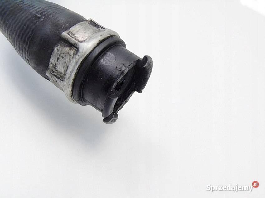 WĄŻ WODY 22 DCI LAGUNA 2 ESPACE 4 VEL SATIS śląskie Sosnowiec