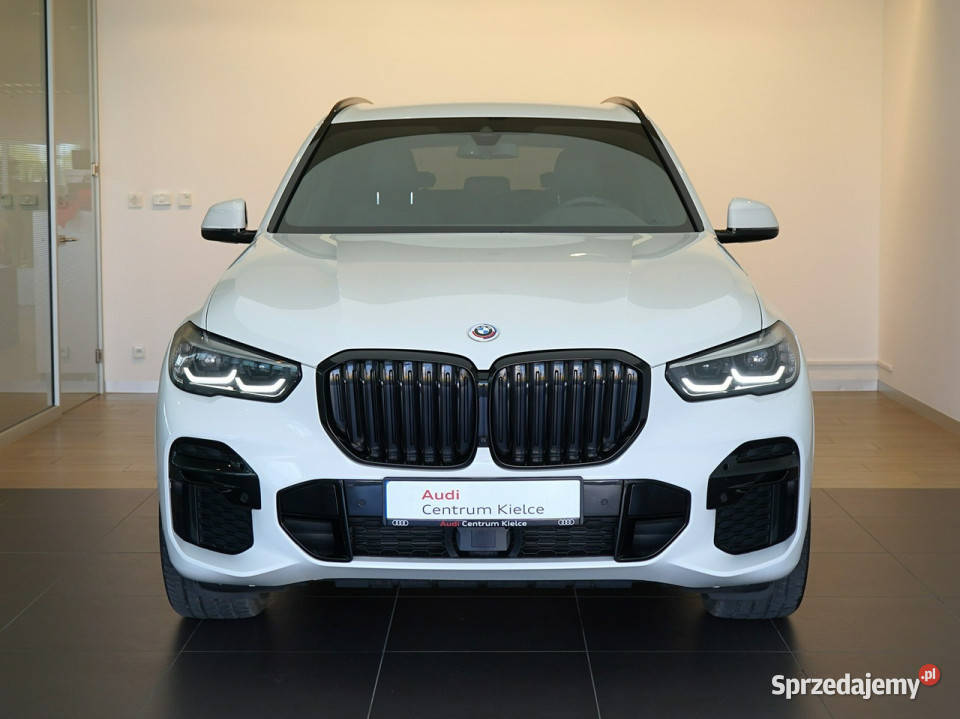 BMW X5 X5 xDrive m25d AktywnyTempomat Kamera 100723km Kielce sprzedam