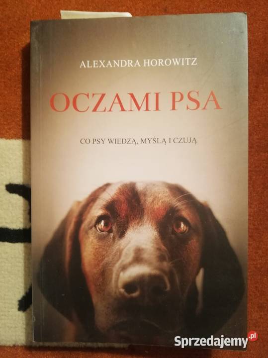 Zestaw literatury o zróżnicowanym charakterze Wronki sprzedam