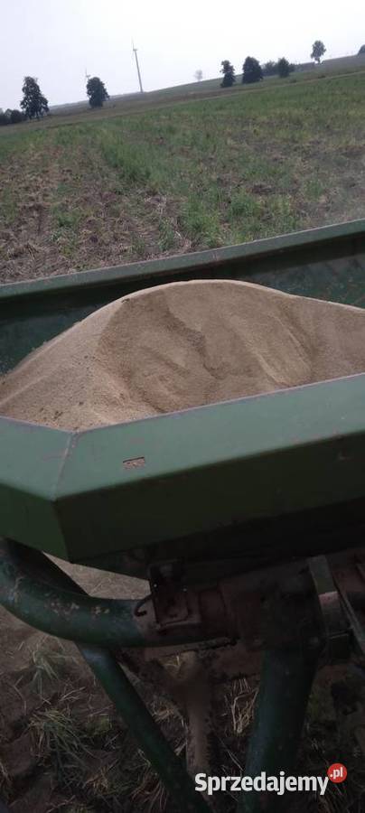 Rozsiewacz amazone zaf 803 nieuszkodzony Wola Krzysztoporska