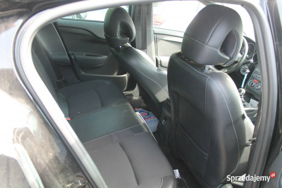 Citroen DS4 1560cm3 wielkopolskie Ostrów Wielkopolski