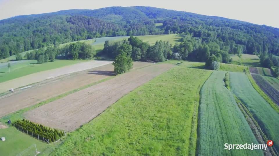 Lipnica Dolna malownicze miejsce z potencjałem