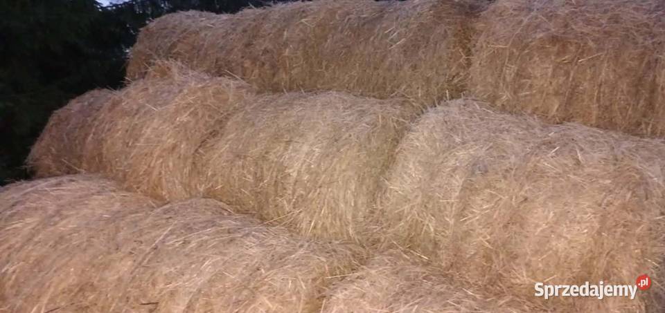 SIANO Bele 125 małopolskie Lubcza sprzedam