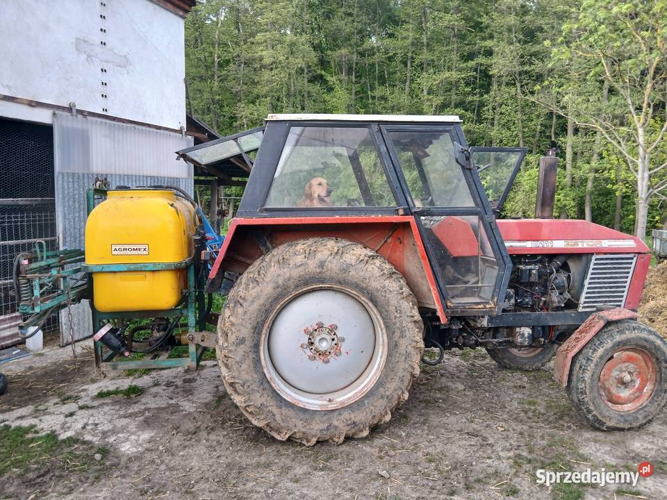 Zetor 8011 dolnośląskie Jędrzejowice