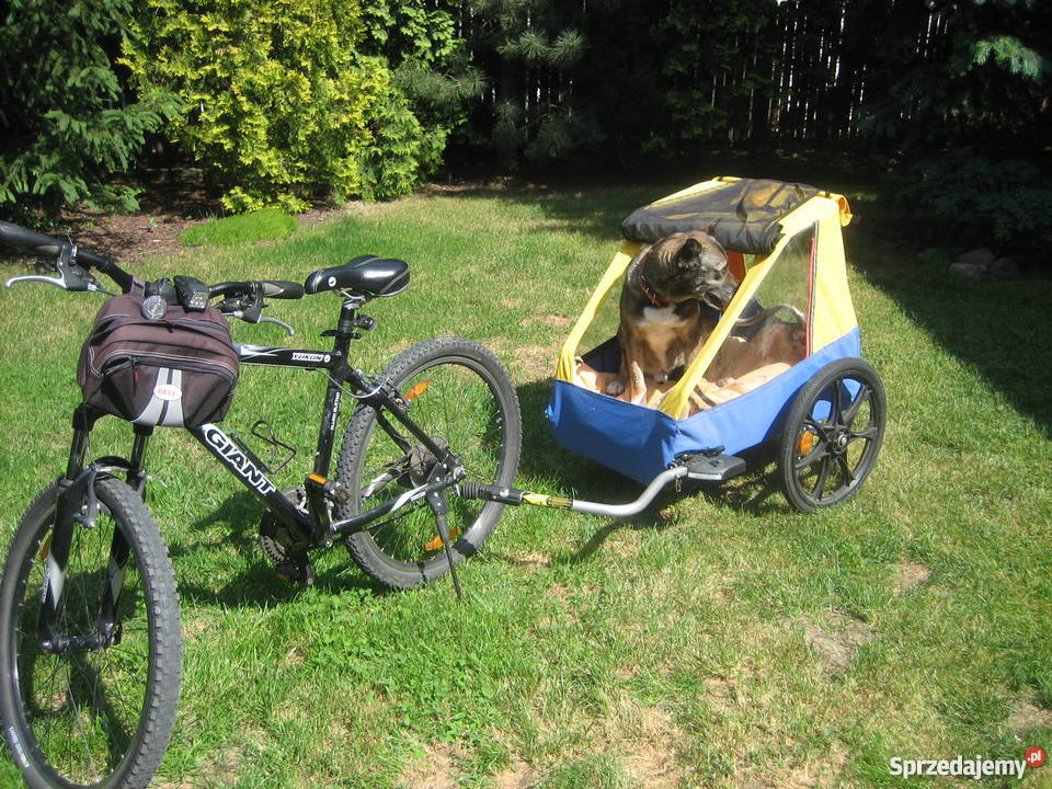 Przyczepka rowerowa psa mazowieckie Nadarzyn