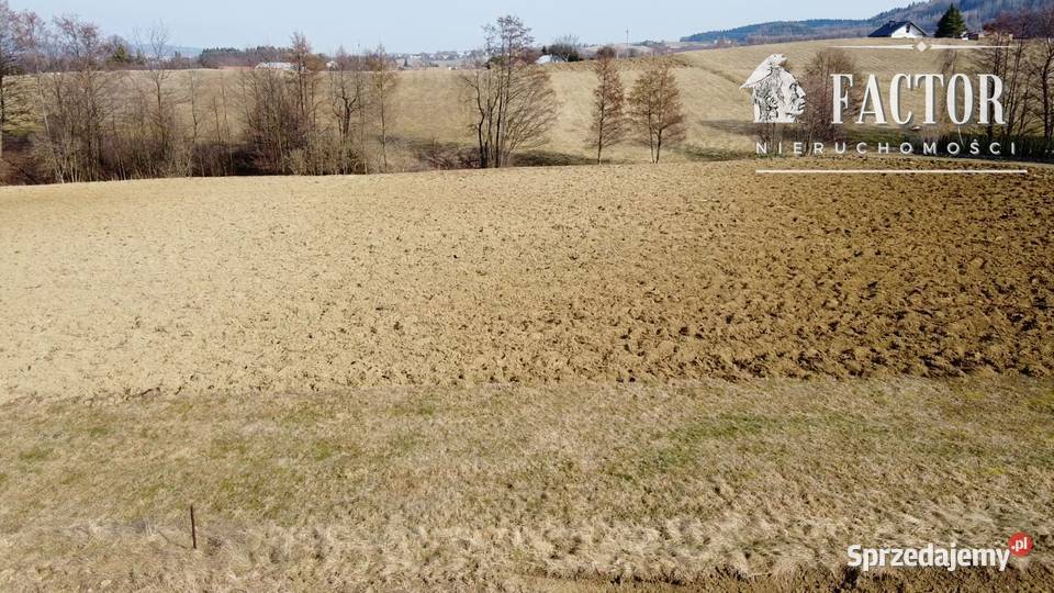 Działka budowlana 20 a na Polesiu Dominikowice Sprzedaż