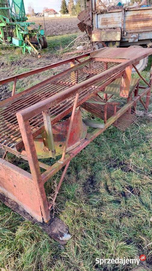 Maszyna do obierania sortowania cebuli Pozostałe łódzkie Grabów