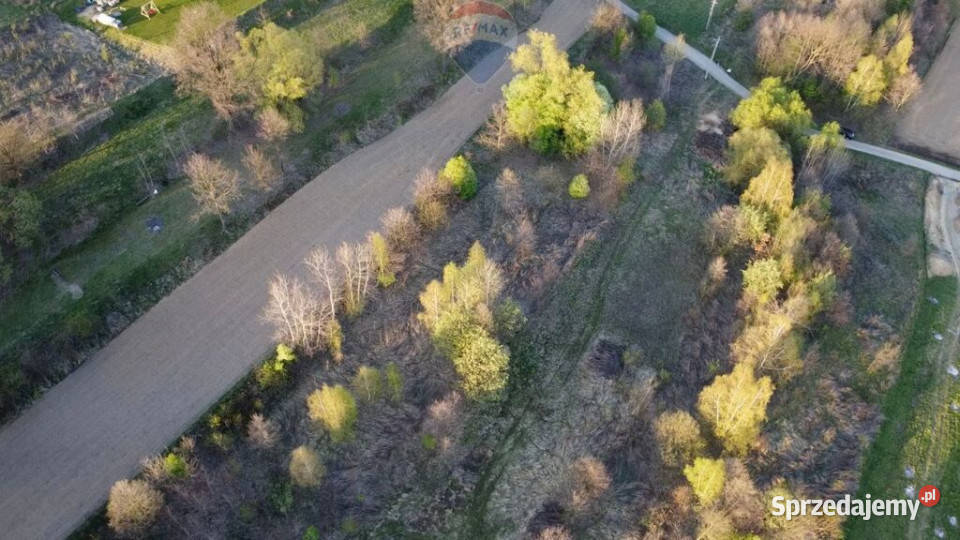 DZIAŁKA 5500 m PODSTOLICE GMINA WIELICZKA Sprzedaż