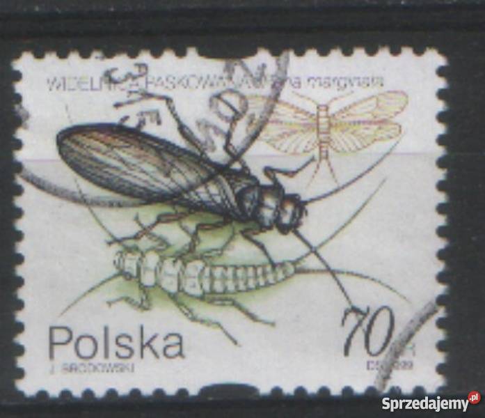 Zn Fi 3635 kas 1999 Gliwice