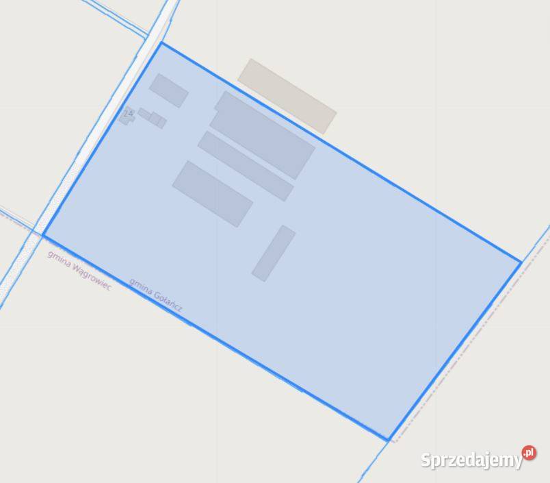 Syndyk sprzeda działkę 65600m2 Laskownica Wielka