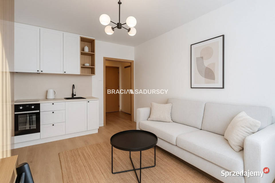 Mieszkanie Kraków 246 metrów 1 pokojowe Sprzedaż