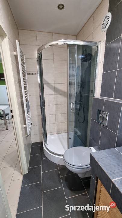 Wynajmę mieszkanie strych opolskie Brzeg