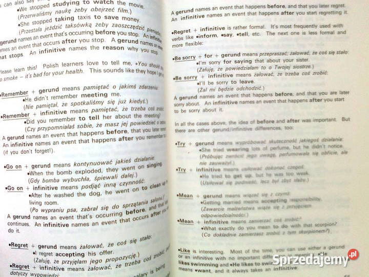 The English Advisor POCIECHA angielski mazowieckie sprzedam