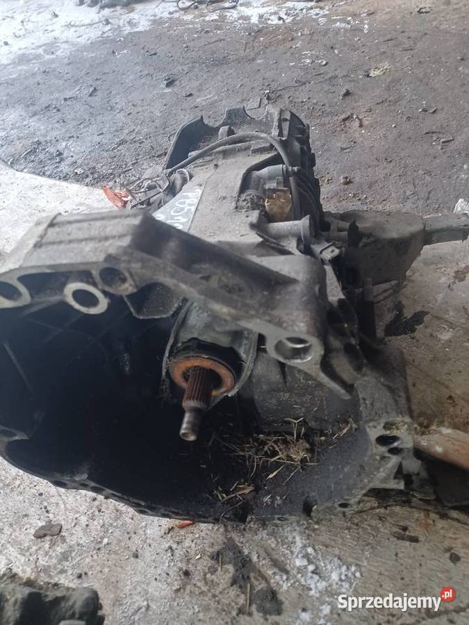 Skrzynia Biegów Volkswagen Passat B5 19TDI 110 Pogorzelec