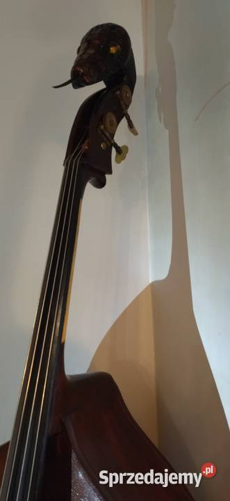 Kontrabas 44 Pyton z Filharmonii Lwowskiej Jędrzejów sprzedam