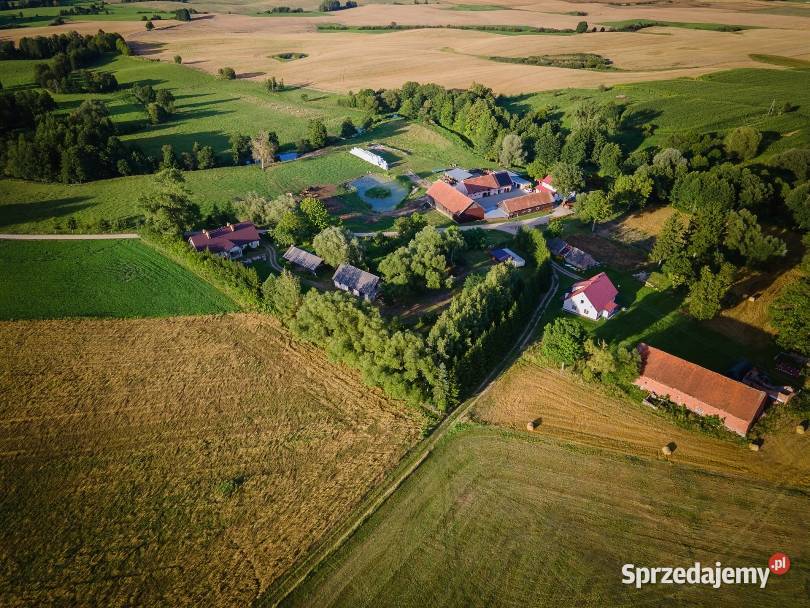 Działka Działka na Mazurach z warunkami zabudowy Gąsiorowo
