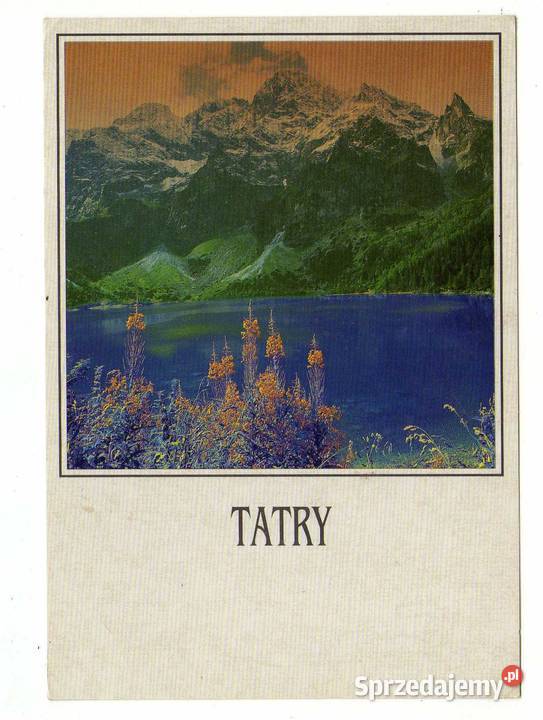 TATRY POCZTÓWKA WIDOKOWA Pocztówki i karty telefoniczne Krynki