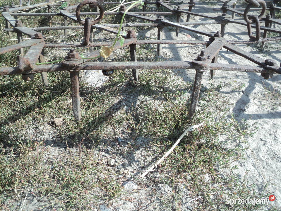 Brony brona 6 polowe kujawsko-pomorskie Niewieścin