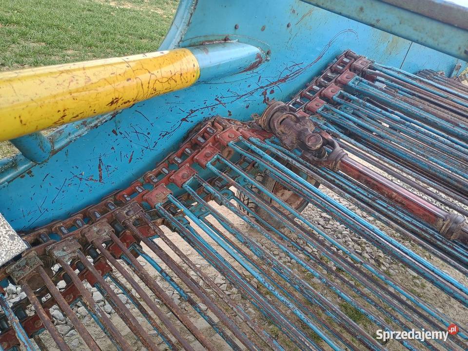 Kopaczka elewatorowa do ziemniaków Izbica