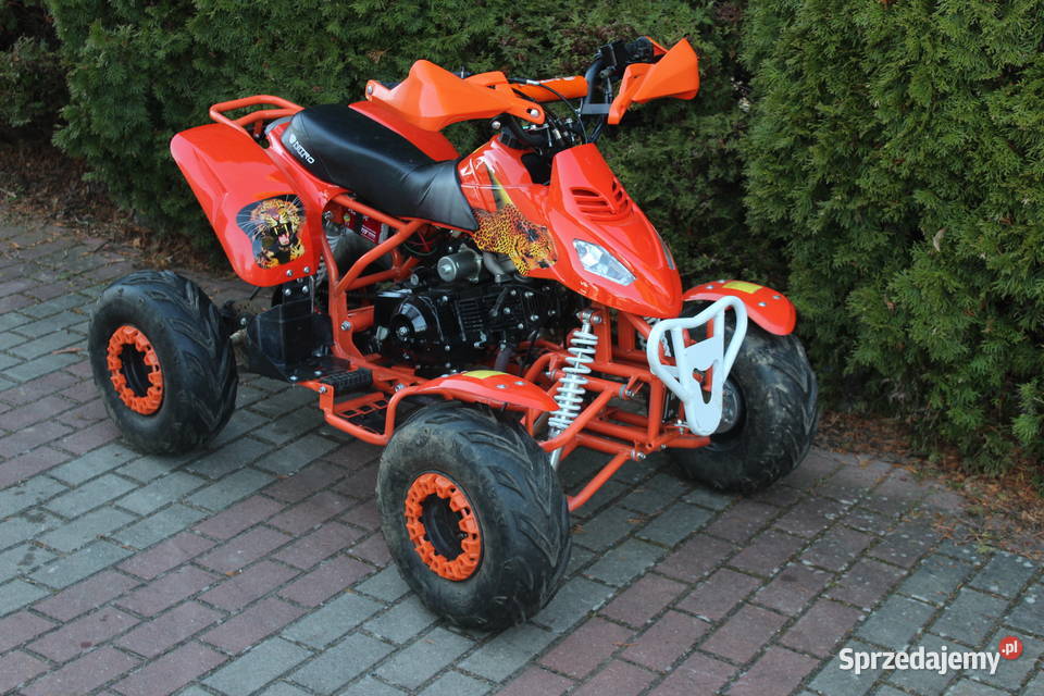 Quad pojemność 110 125 cc czterosuw benzyna Goleniów