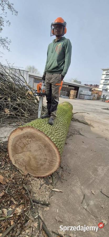 Usługi leśno ogrodnicze