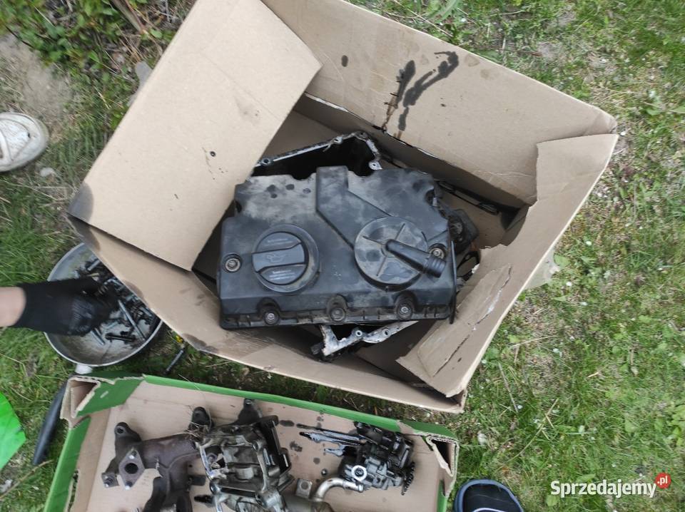 Silnik skoda audi vw 15 diesel 80 2006 wszystkie Lublin