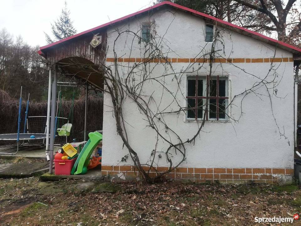 ROD POD DĘBEM Pilchowo Ogrody rekreacyjna Szczecin