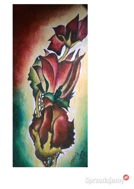 Wenusowskie Piwonie Jarosław sprzedam