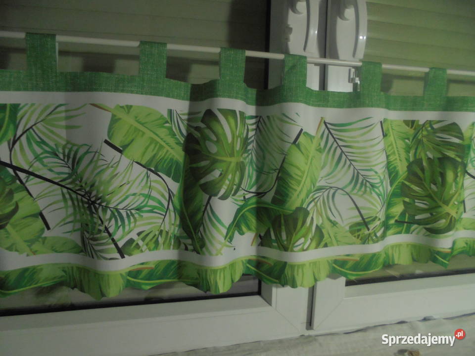 wyprzedaz zazdrosek liscie monsterana wys 43 na odcienie zieleni