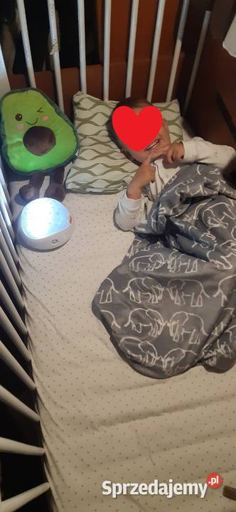 Citroen Jumper Giottiline Windy W66 Wyszków