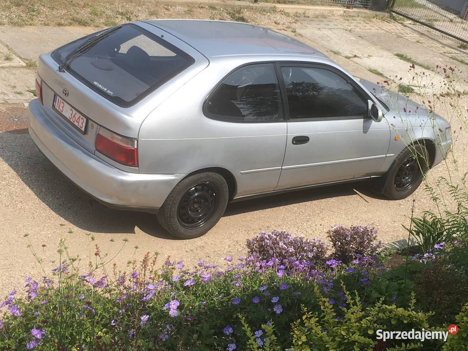 Toyota Corolla manualna