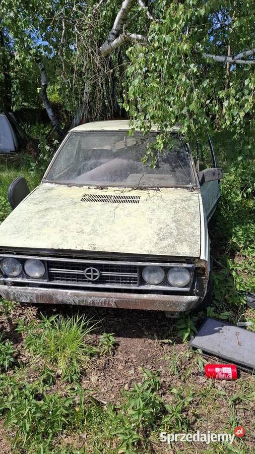 Polonez Borewicz