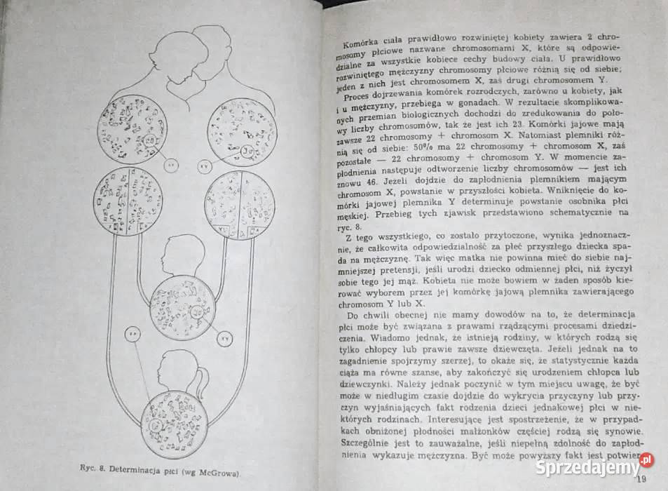 Ciąża poród połóg Stanisław Radowicki Pozostałe Chełm