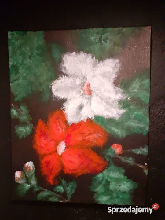 Obraz ścienny kwiaty Byczyna sprzedam