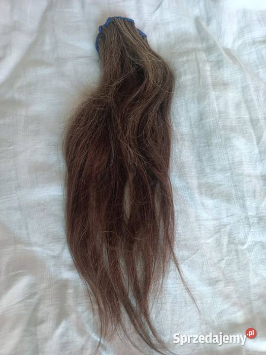 Włosy naturalne sprzedam Będzin