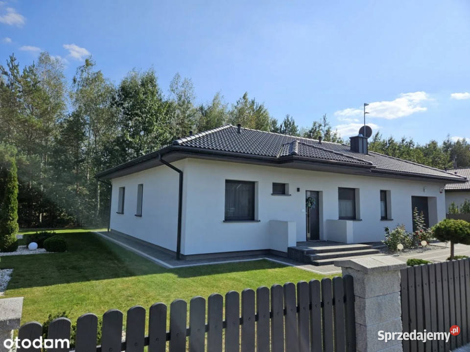 Sprzedam bezpośrednio dom w Jachrance lesie 4 Jachranka