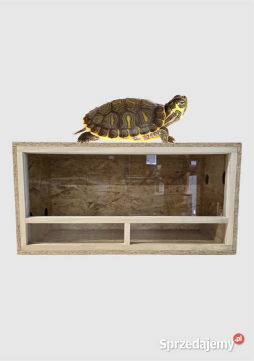 Terrarium z płyty osb 80x40x40 front drewniany Pięczkowo sprzedam