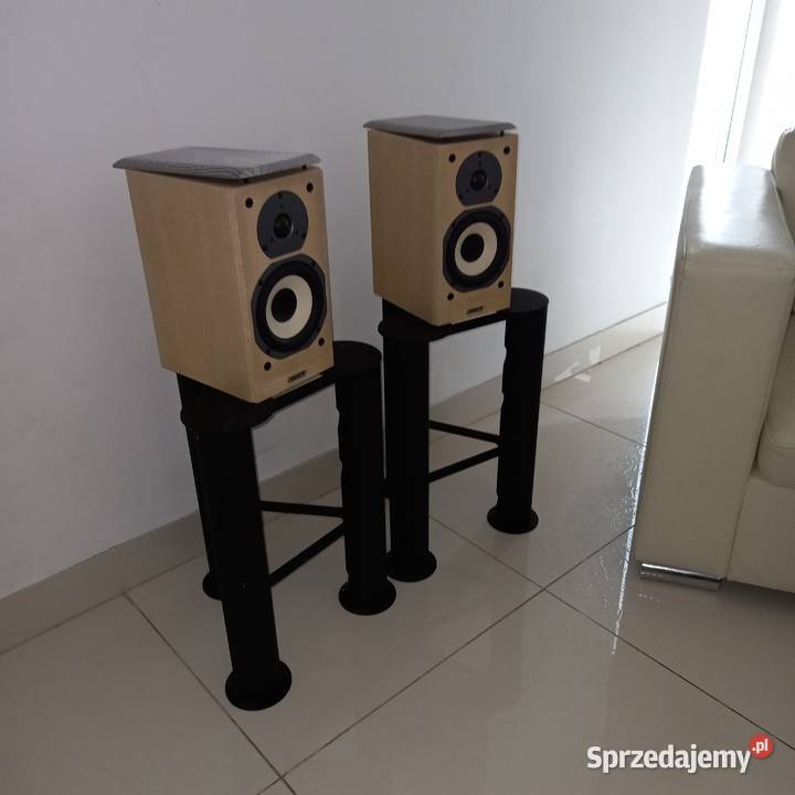 TANNOY MERCURY MX1 porcelana Audio Zemborzyce Podleśne sprzedam