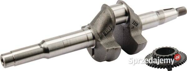 Wał korbowy 06131Z8DW50 Kamionna