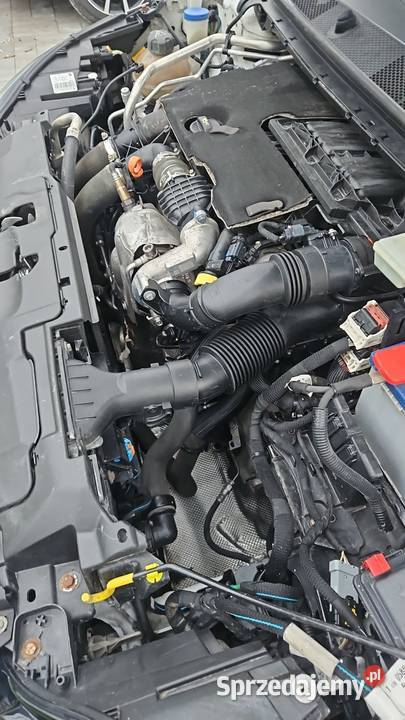 Peugeot 308 T9 16 II Diesel 116 2014 diesel Wodzisław