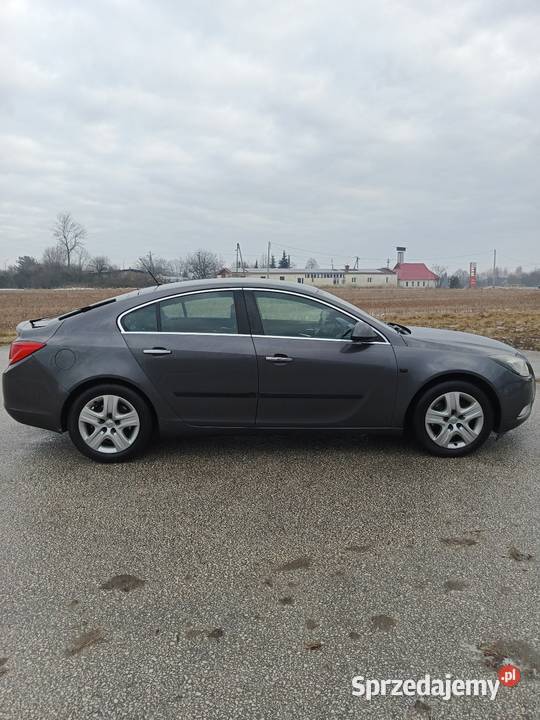 Opel Insignia Jędrzejów