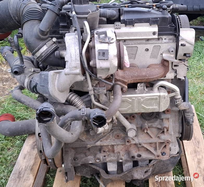 Silnik 20 TDI 140 CFF CFFB Passat b7 b8 A3 8P osobowe lubelskie Hańsk Pierwszy