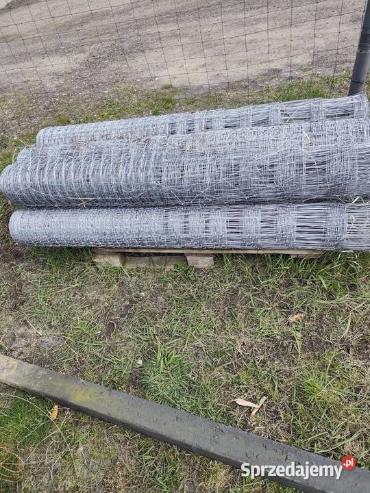 Sprzedam siatkę leśną Gostyń