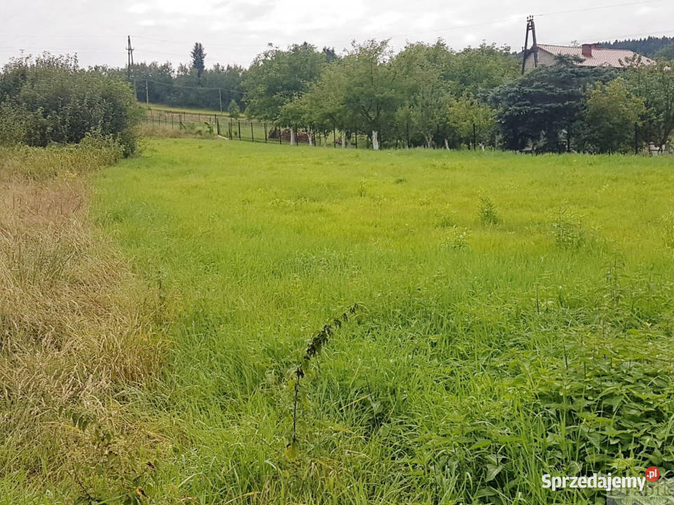 Sprzedaż działki Budzów Budzów 1600m2 telefon małopolskie sprzedam
