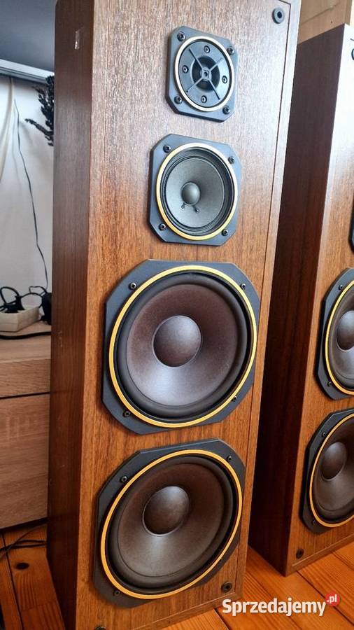 Głośniki stojące Kolumny podłogowe Audion HiFi podkarpackie