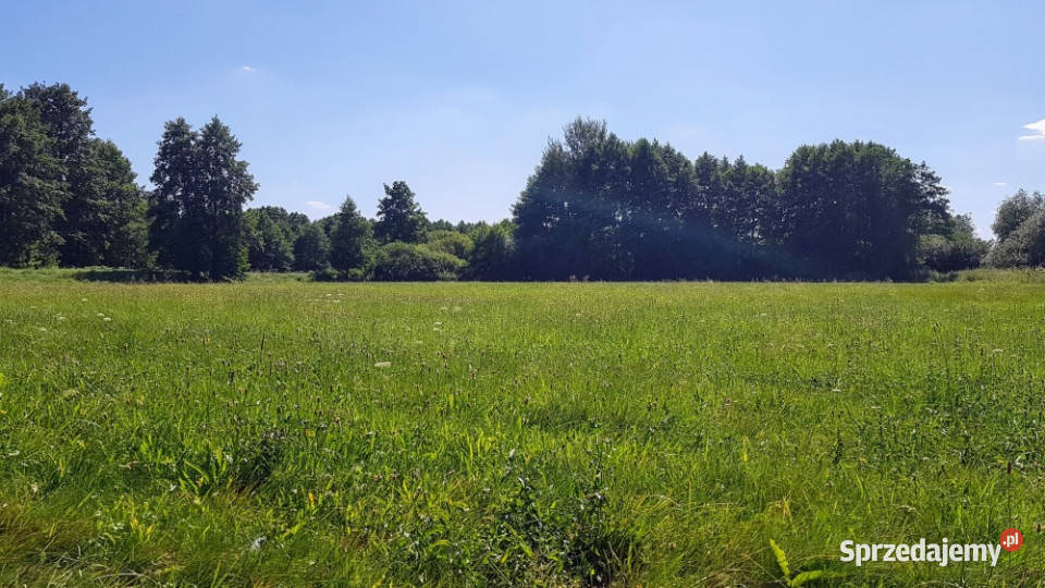 Działka budowlana Termy Uniejów Jeziorsko łódzkie Dominikowice sprzedam