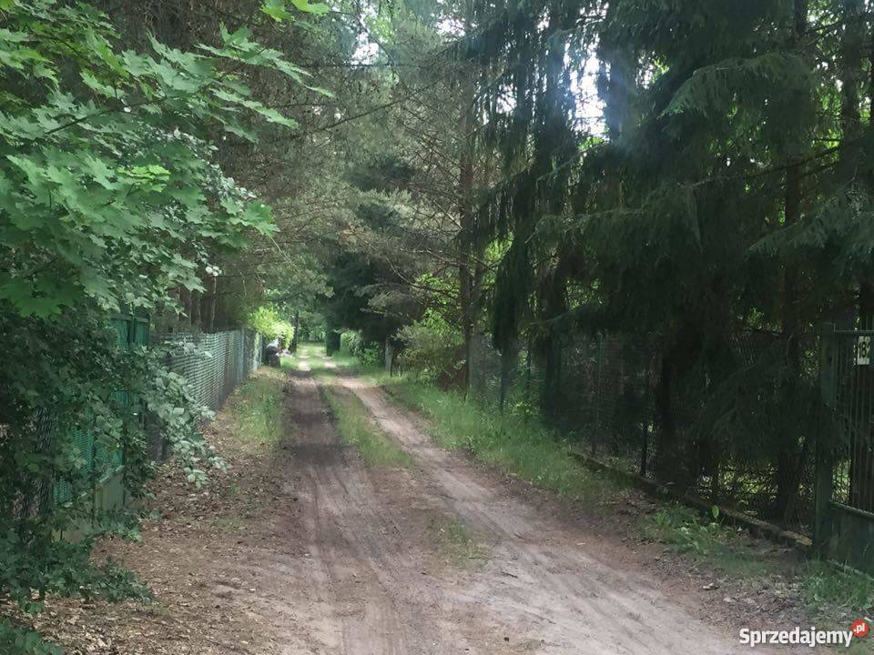 działka rekreacyjna z domkiem Jerzyska k Łochowa 700m2