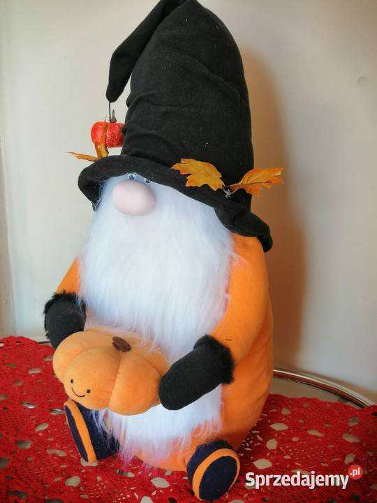 Para skrzatów siedzących jesienno zimowych Katowice